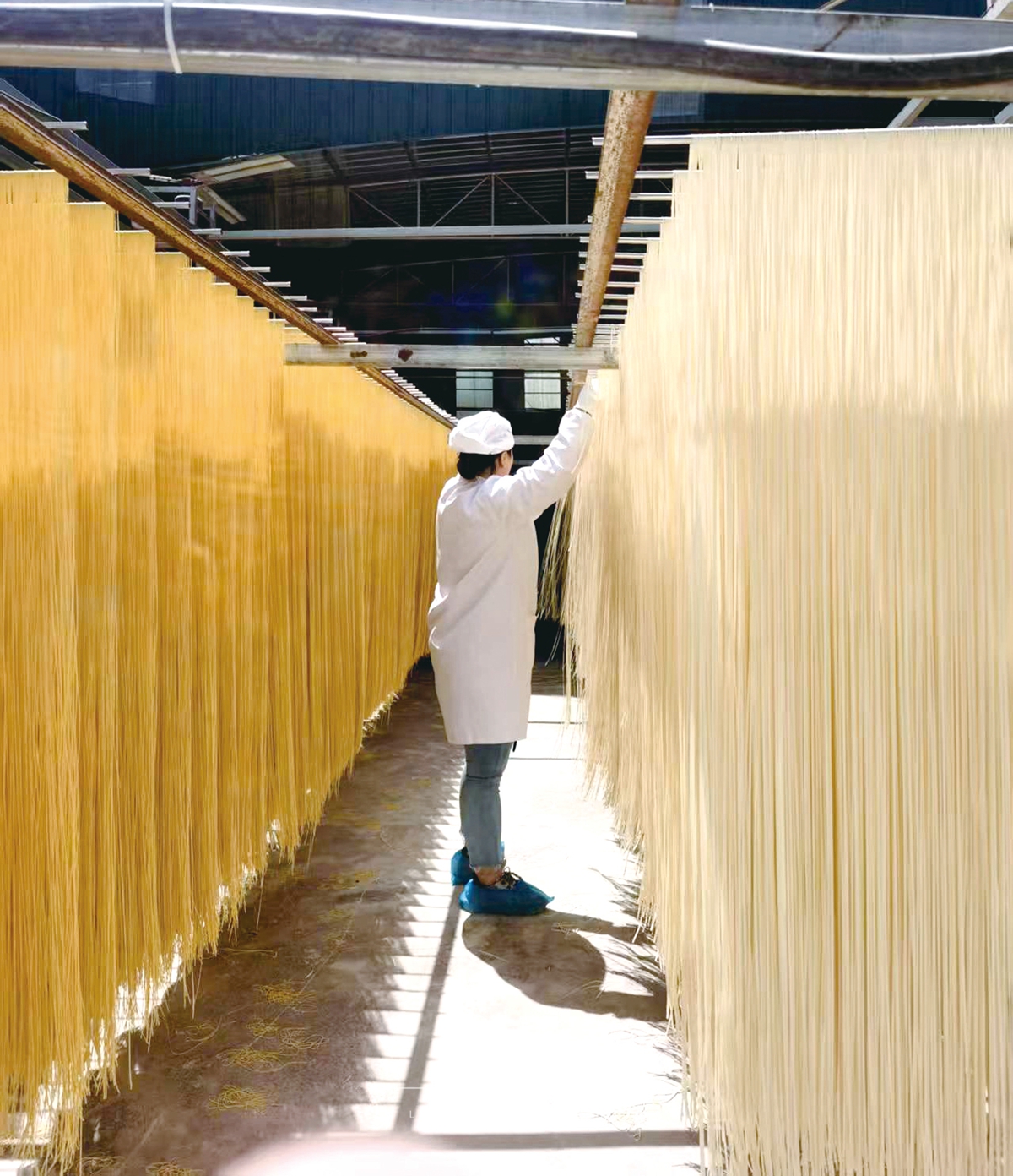 古蔺味道飘香世界  “税袁”面用传承与创新书写发展传奇(图3)