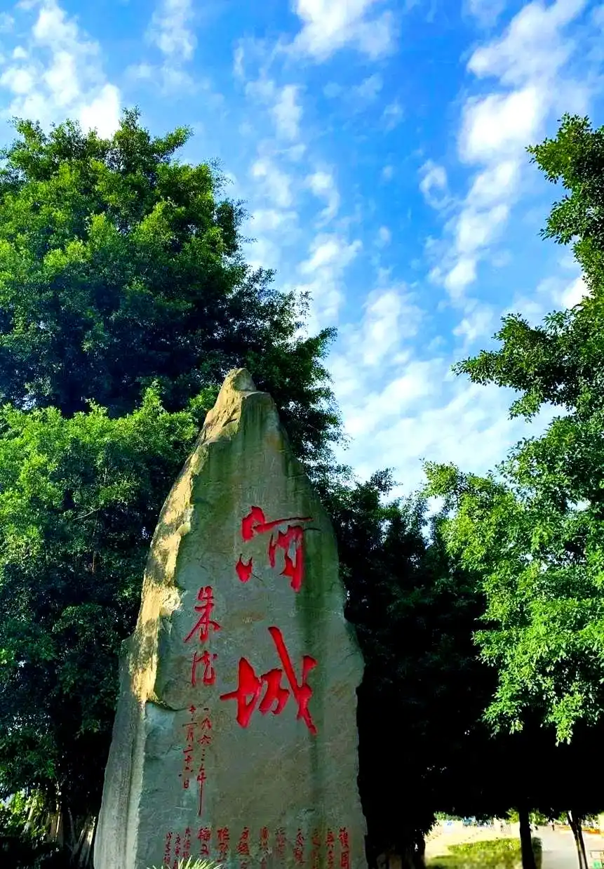 泸州市老酒协会